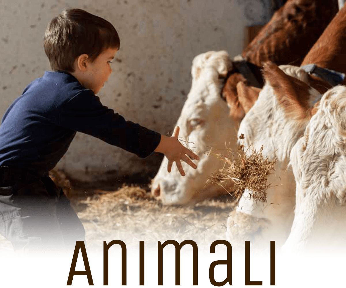 Lichtung Woldererhof - Animali