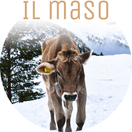 Lichtung Woldererhof - Il maso