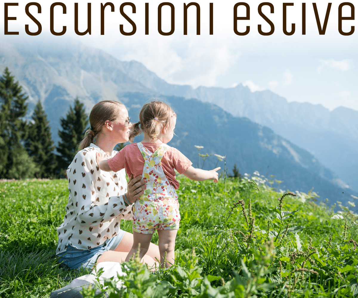 Lichtung Woldererhof - In famiglia escurioni estive
