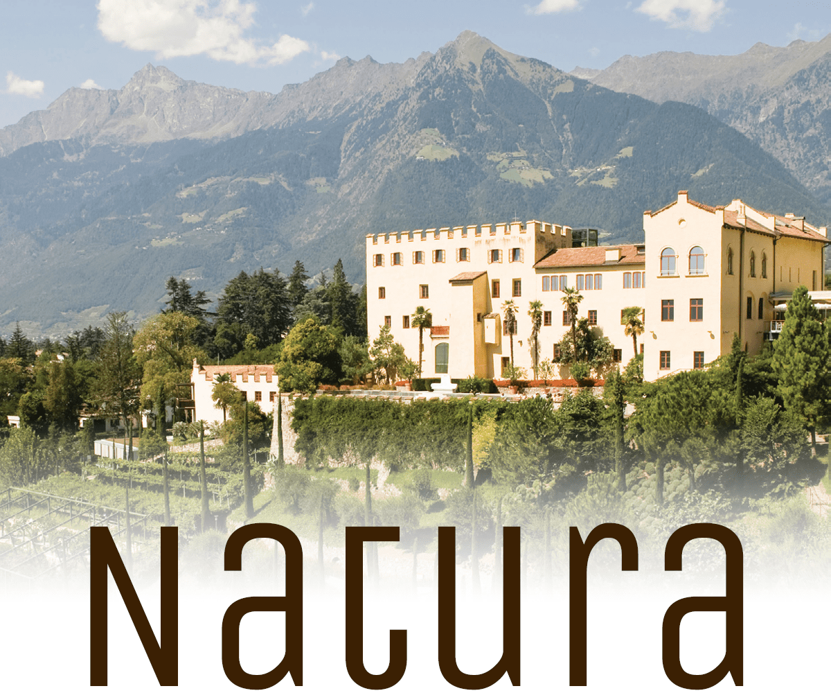 Lichtung Woldererhof - Natura